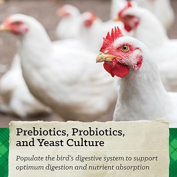 Nutrena NatureWise Meatbird Feed 40lb