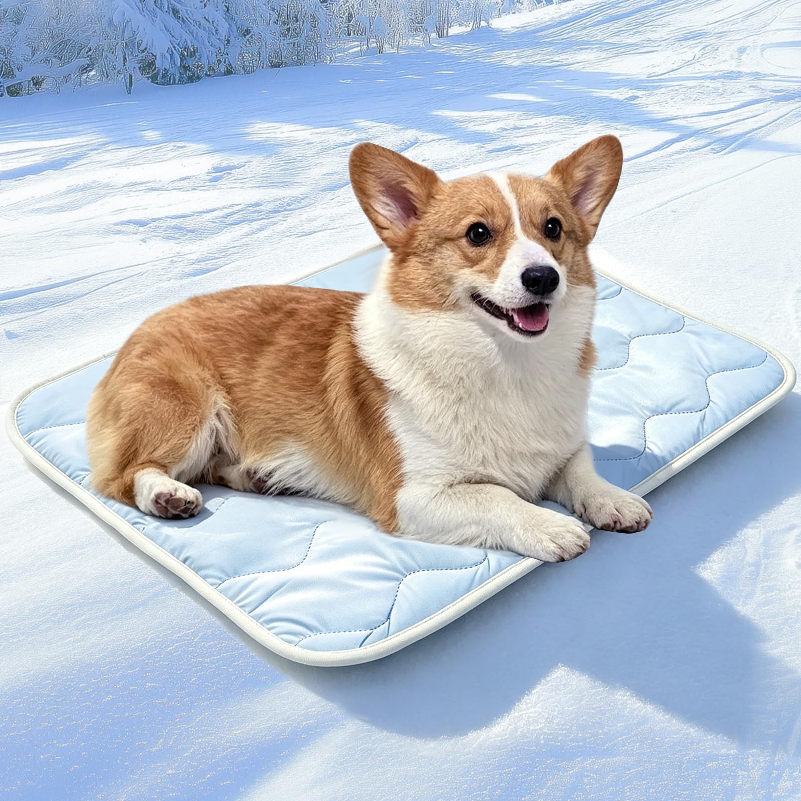 Fipfovpa Dog Cooling Mat for Small/Medium Pet 61x45cm Pet Cooling Mat