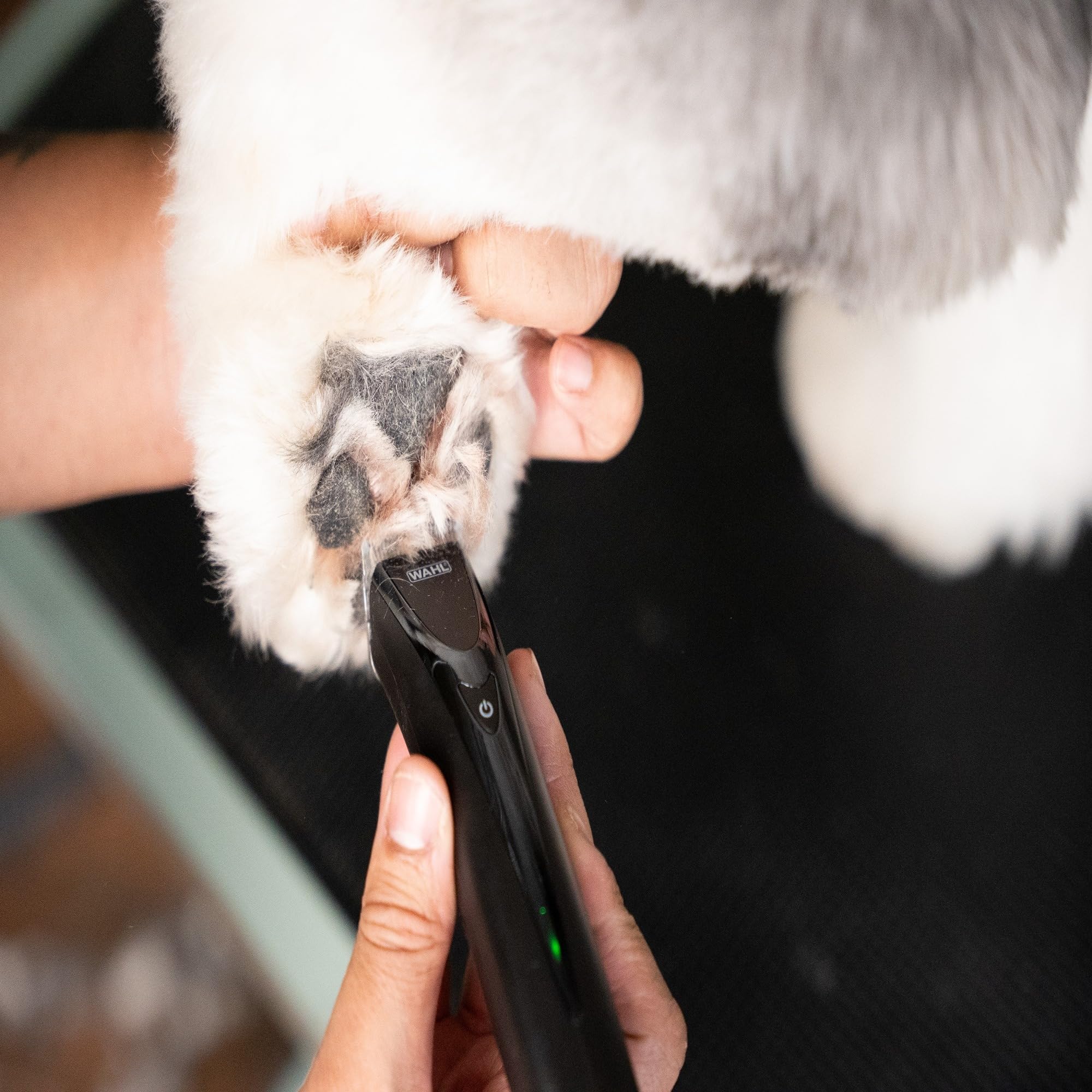 WAHL Fidela Trimmer Blade, 0,4 mm Schnittlänge, Trimmen, Pflegezubehör, Trimmeraufsätze, Pfoten & Gesicht, Stahl