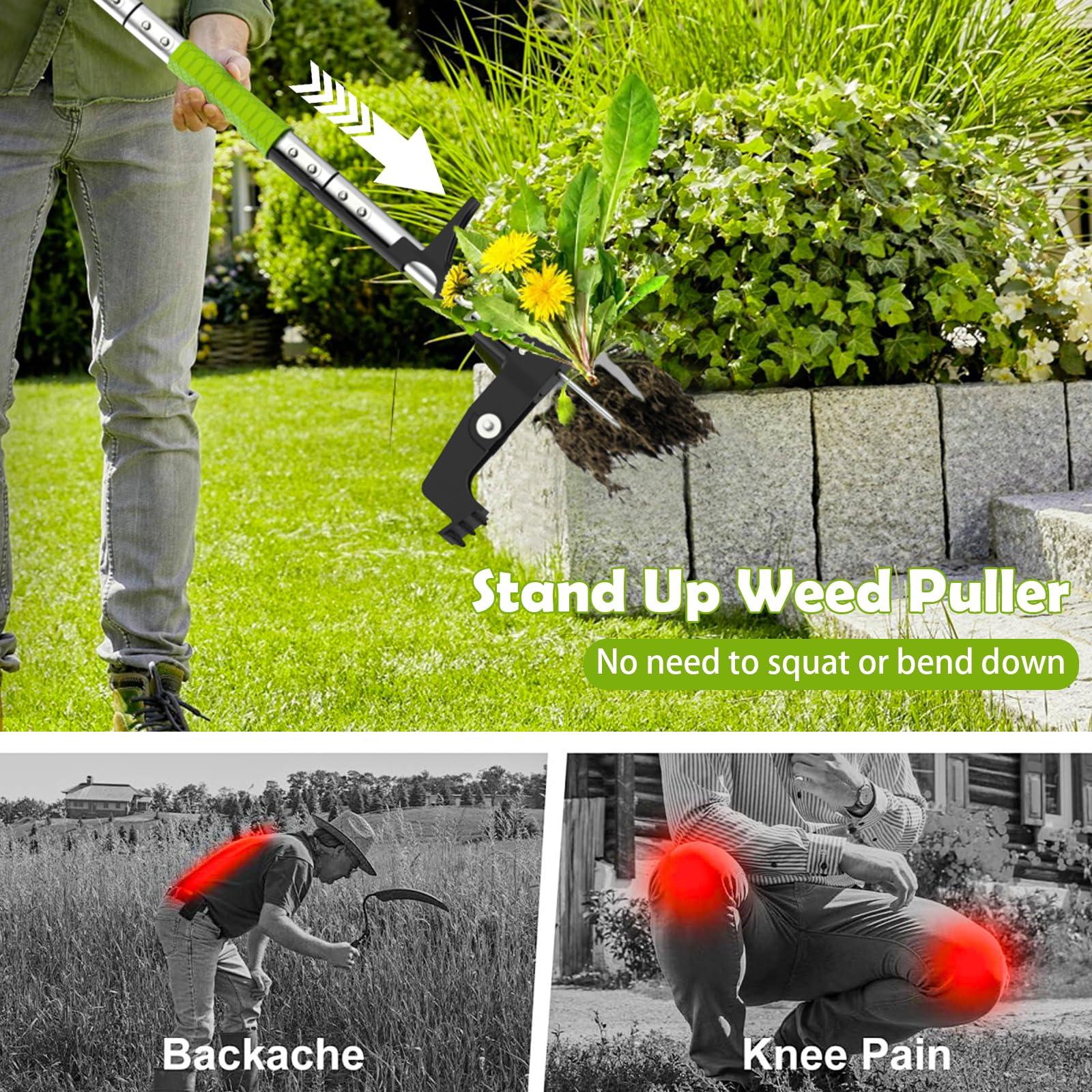 Désherbeur Manuel, Extracteur de Racines à 4 Griffes | Outil D'extraction de Pissenlits à Long Manche pour Jardin, Patio et Pelouse, Désherbeur sans Flexion avec Pédale