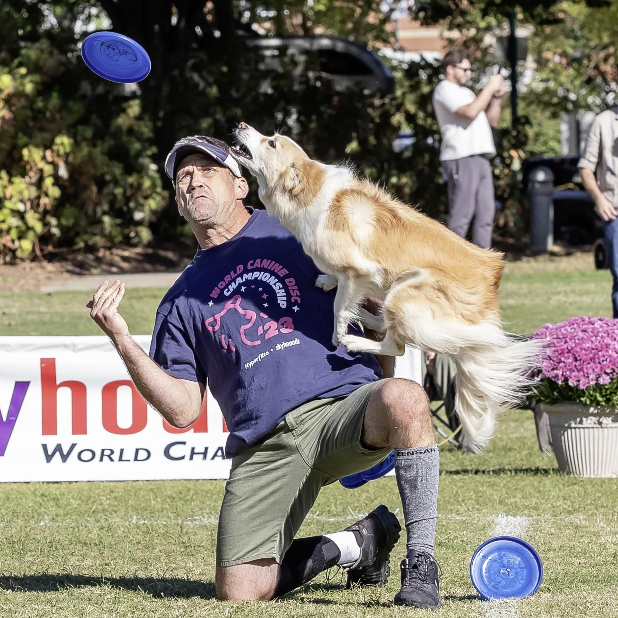 Hyperflite Perros Disco volador Jawz Resistente a las mordidas para el Perro Pequeño AZUL | Resistente a pinchazos, aprobado por la competencia | 7 pulgadas, 90 g | Perros pequeños | Azul