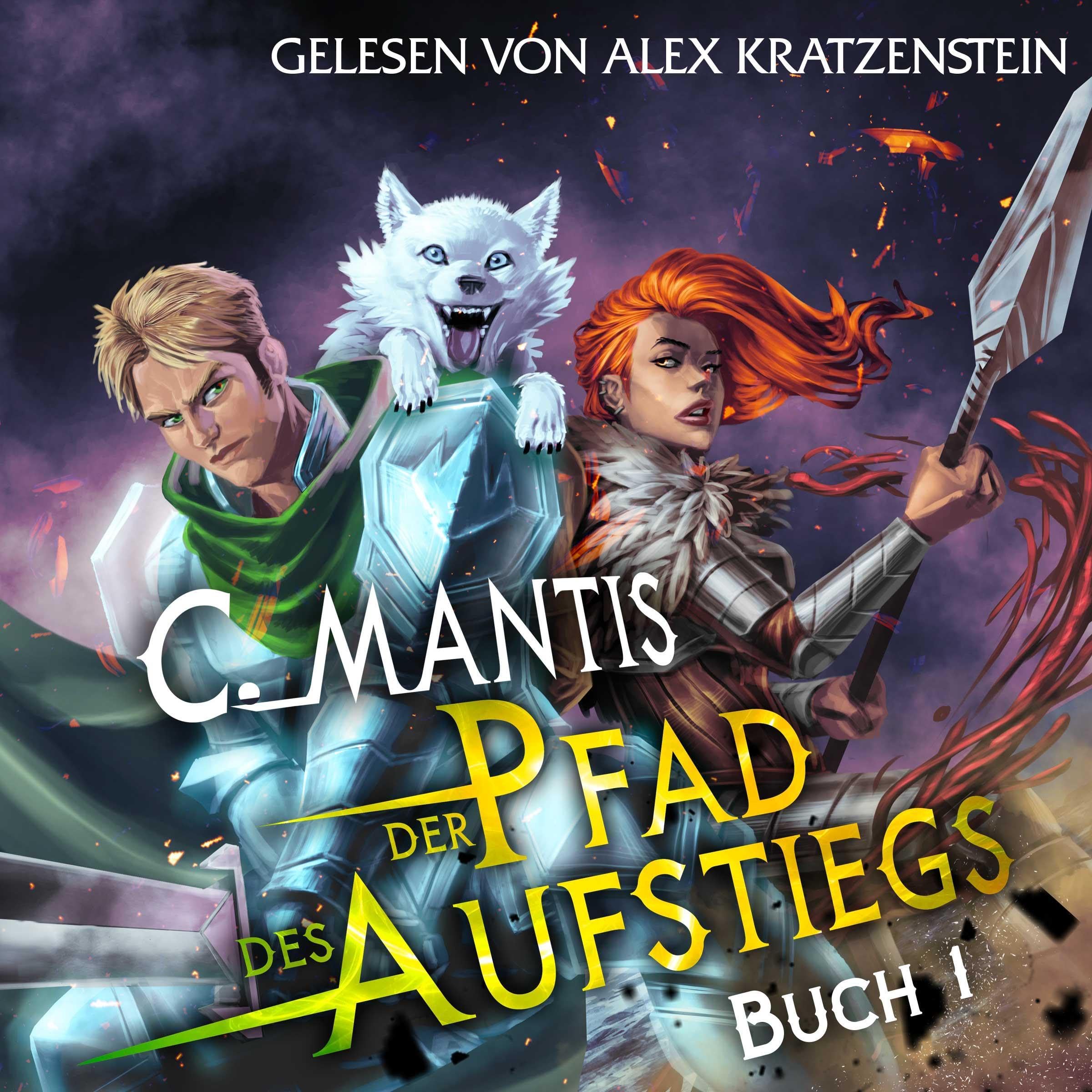 Cover art for Der Pfad des Aufstiegs