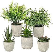 Set di 5 mini piante finte da interno realistiche – succulente decorative perfette per decorazioni casa in salotto, camera letto o ufficio, adatte anche come piante finte da esterno eleganti.