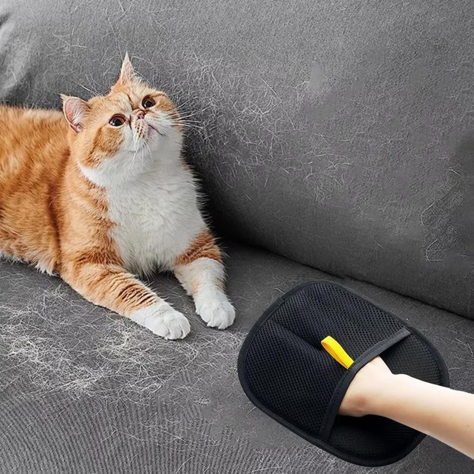 Doppelseitiger Fellmagnet Handschuh, Antistatischer Haarentfernung Handschuh für Tiere,Wiederverwendbarer Haarentfernung Handschuh,Waschbar Katzenhaarentfernung Fellpflegehandschuh Massagefunktion*1 Haustier