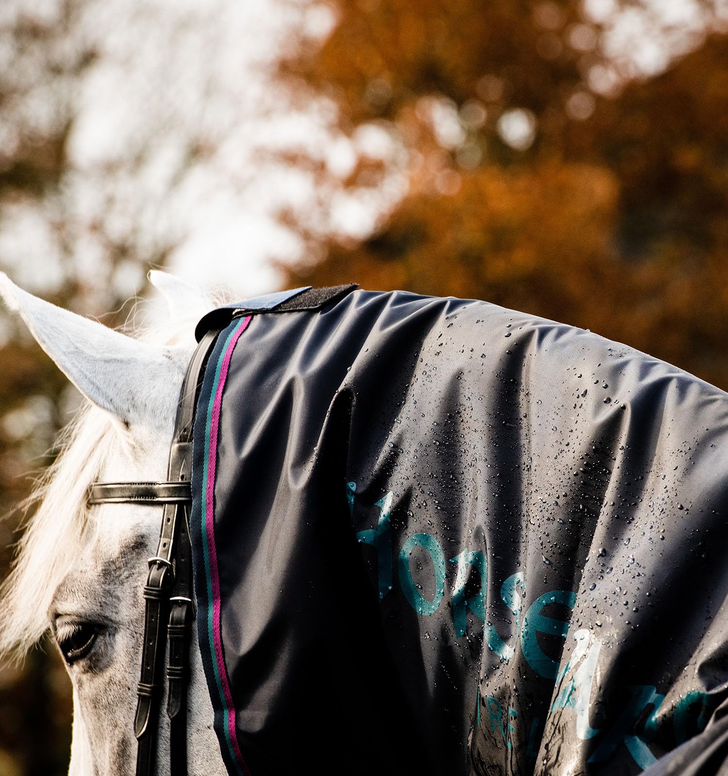 Horseware Manta para Caballos de Exterior con cubrecuello Rambo Mack In a Sack