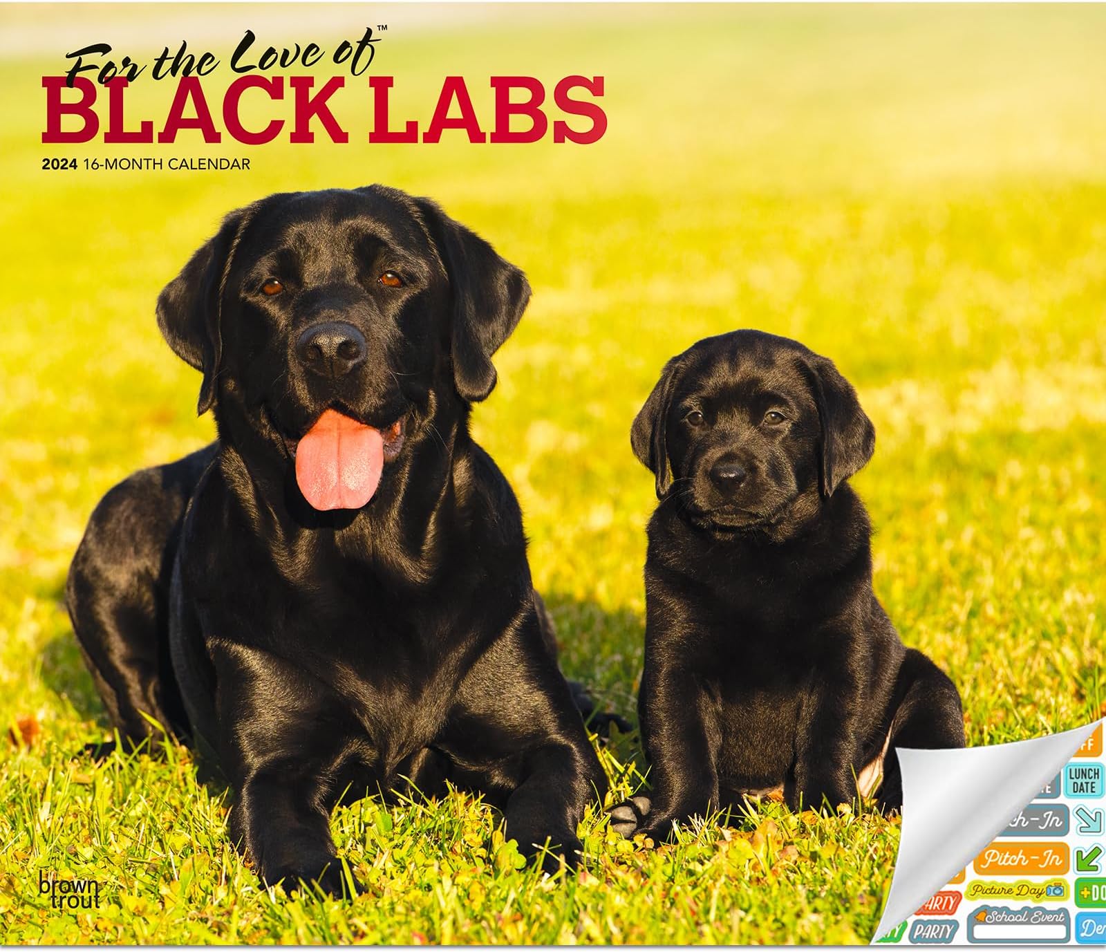 Captain Marvel Calendar 2024 Deluxe 2024 Captain Marvel