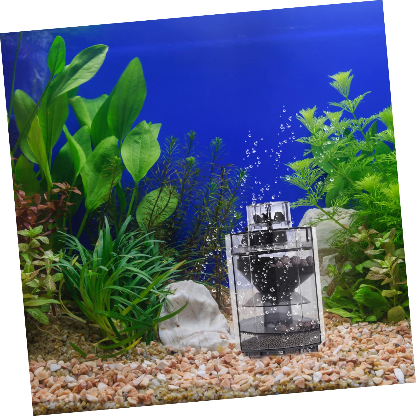 Artibetter 3stücke Aquarium Reinigungswerkzeug Für Effektive Biochemische Sauerstoffanreicherung Multifunktionales Einfach Zu Bedienendes Gerät Für Fischtankpflege Und Abfallbeseitigung