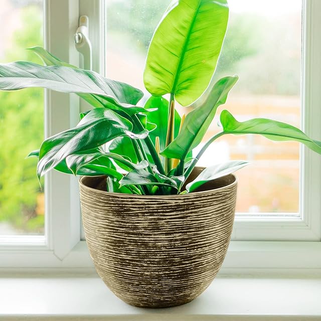 41cm SG Large Round Plastic Garden Plant Pot Flower Pots Planter Herb Gold NEW