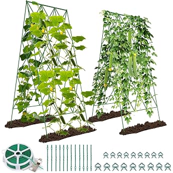 SUNYRISY Pack of 2 Metal Cucumber Trellis Trellis for Cucumber and Tomatoes