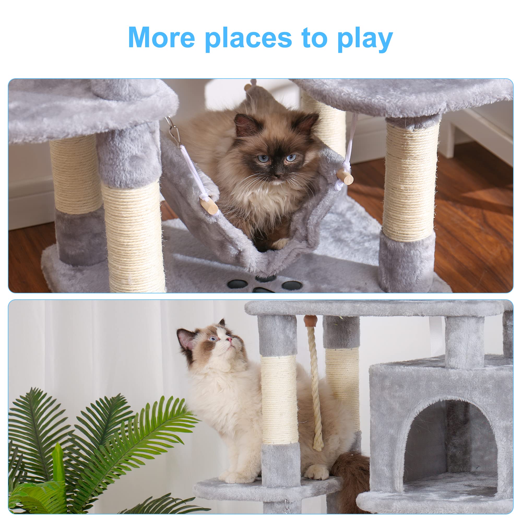 https://m.media-amazon.com/images/I/81Tvfl5BXTL.jpg