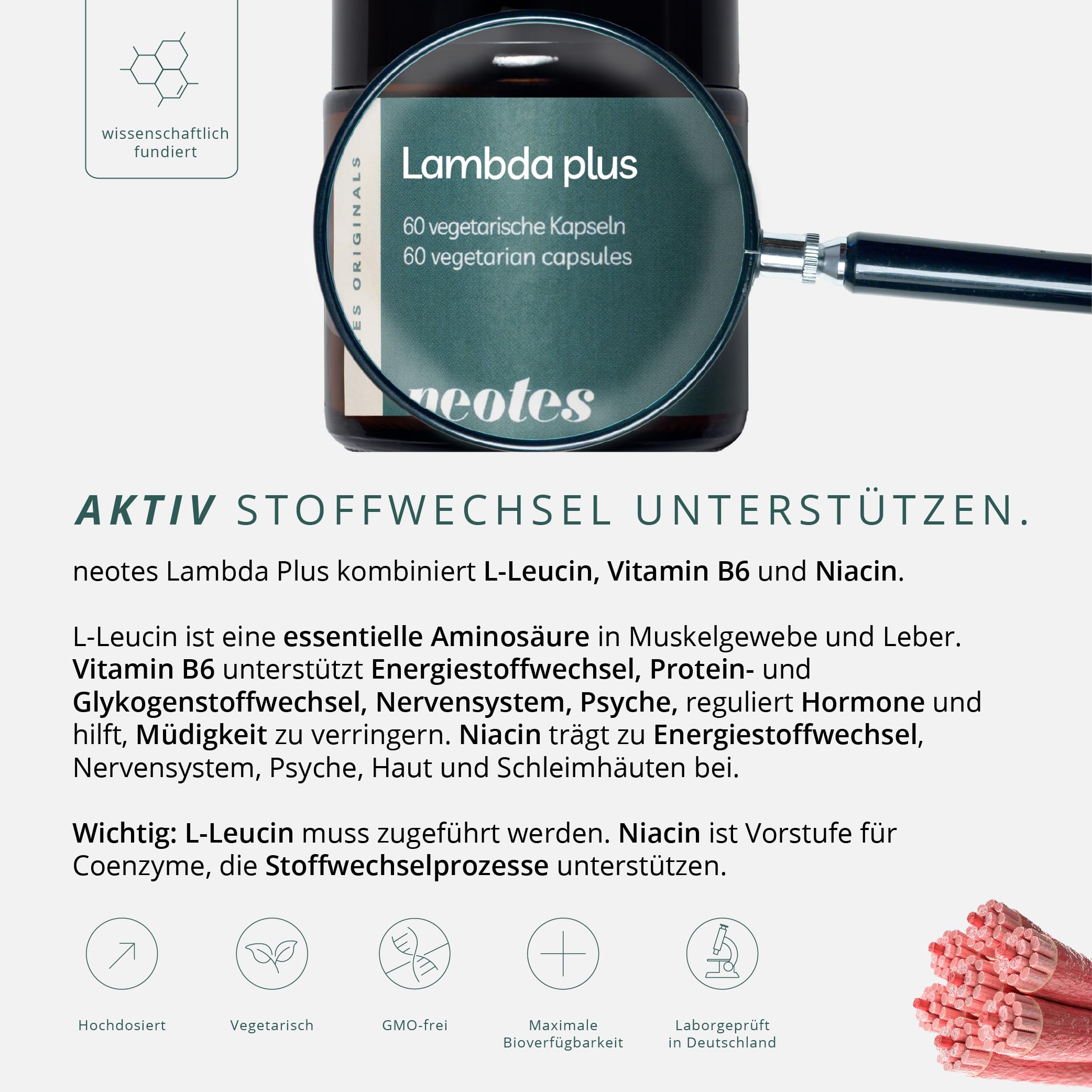 Lambda Plus – 2250mg Leucin + B6 & Niacin – 60 Kapseln für 20 Tage – Hochdosierte Aminosäuren – Verringert Müdigkeit & unterstützt Hormone – Vegan