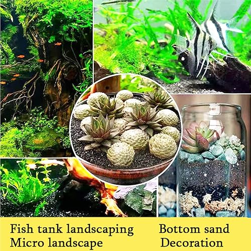 Miniatura 4 de Piedra de arena gruesa negra natural de 1.5 libras, decoración de pecera, grava negra, grava para acuario, relleno de florero, decoración de