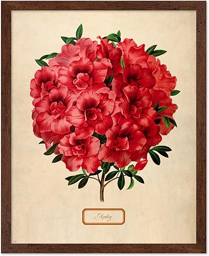 Miniatura 34 de Poster Master Póster de flores vintage, estampado botánico retro, arte floral antiguo, arte de plantas, regalo para hombres y mujeres, gran