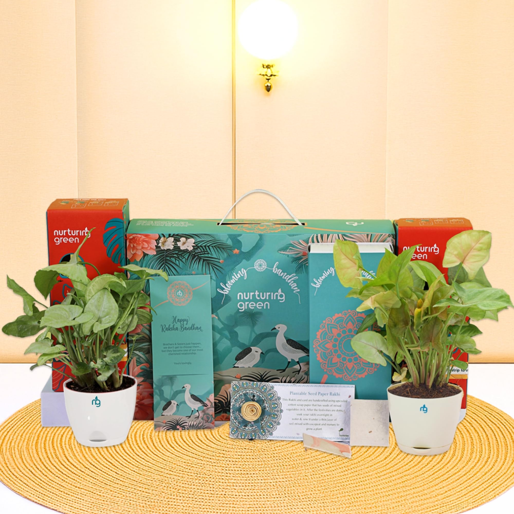 Nurturing Green® Rakshabandhan Gift Box with Air Purifying Plants, Plantable Rakhi, Greeting Card, Roli & Chawal | Eco-Friendly Rakhi Gift for Siblings | Rakhi Celebration-picture-18