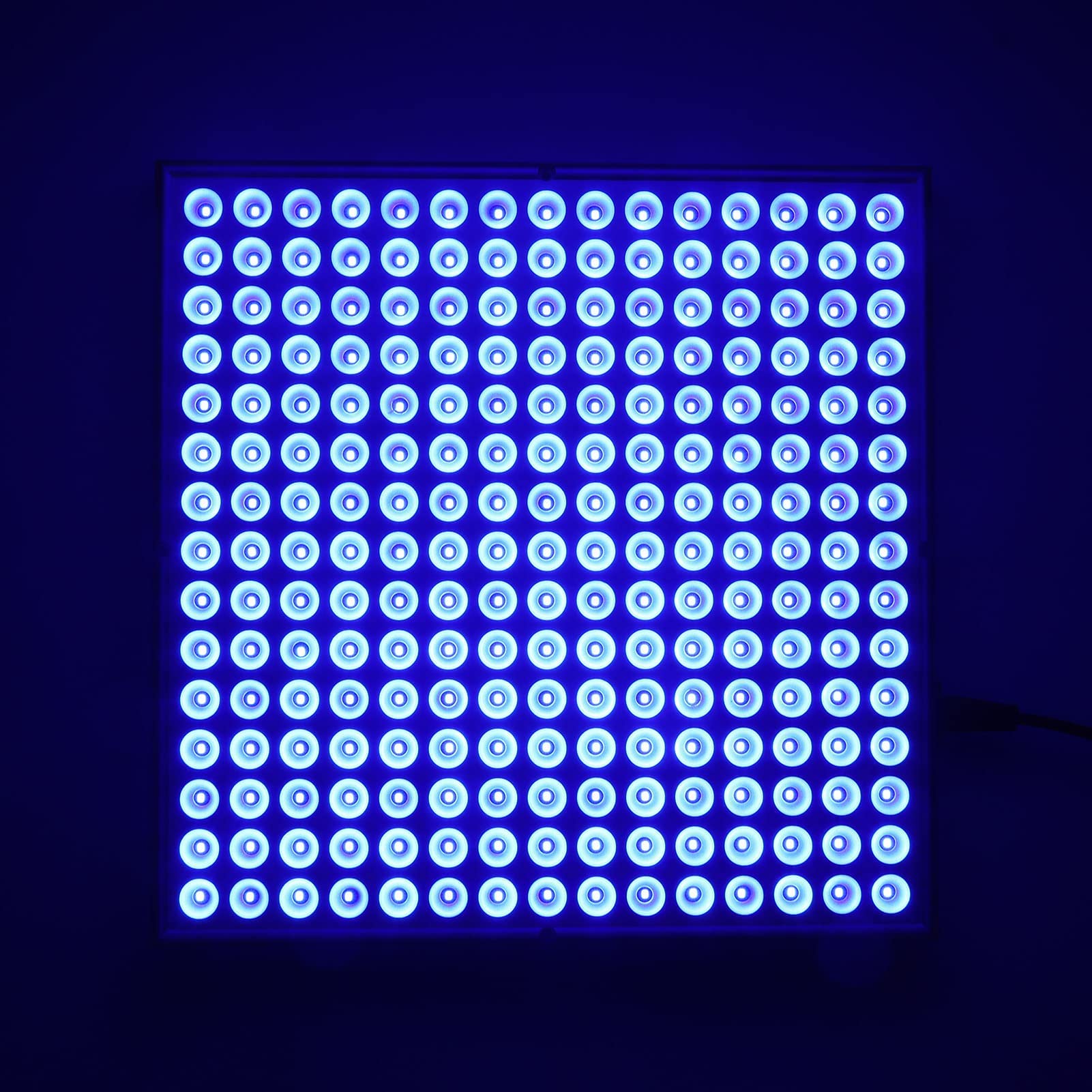 Hozee Lichttherapielampe, Praktische Blaulichttherapielampe, Home Beauty LED-Energielampe Zur Heilung von Baby-Gelbsucht/Akne-Behandlung, 110-240V(EU)