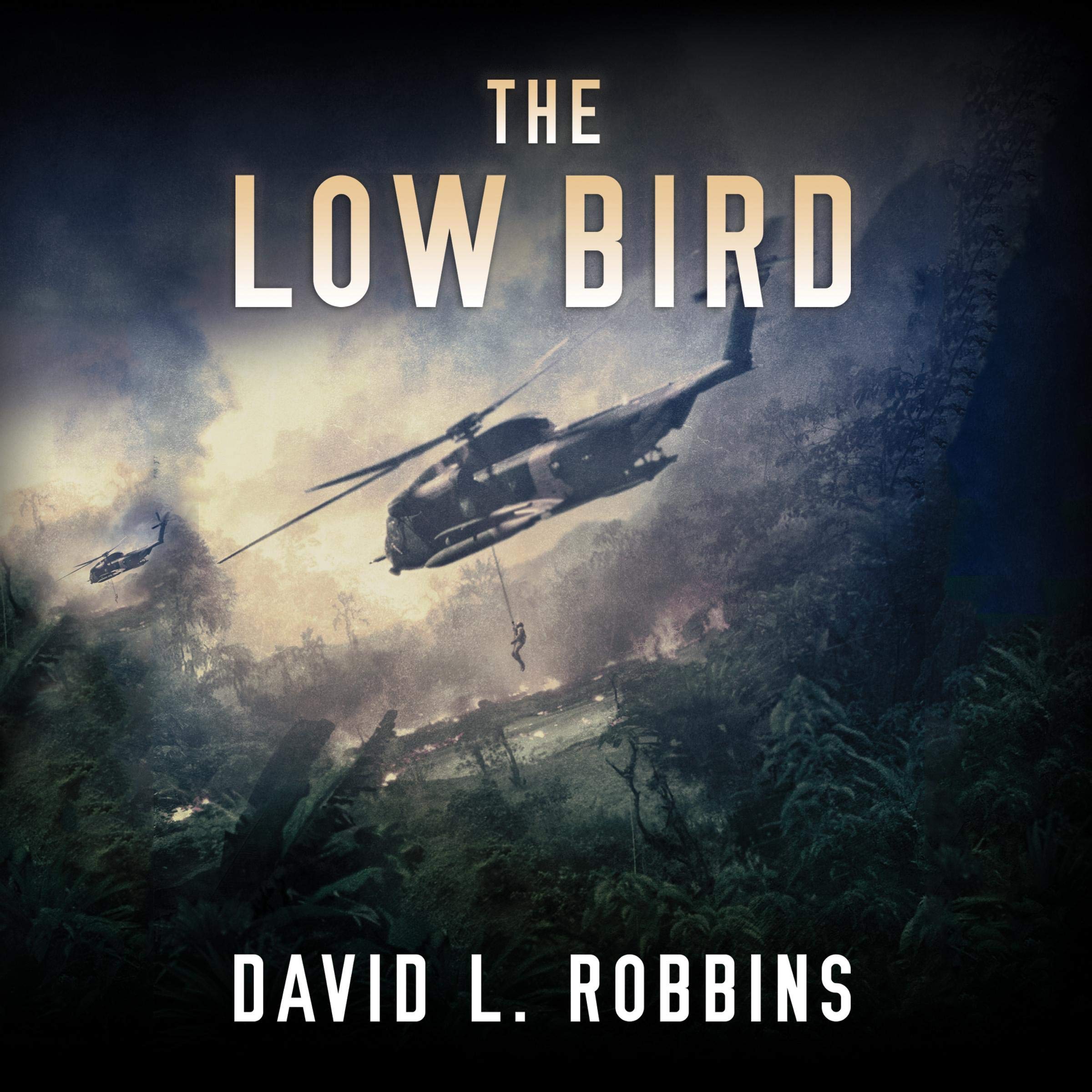 Cover art for The Low Bird