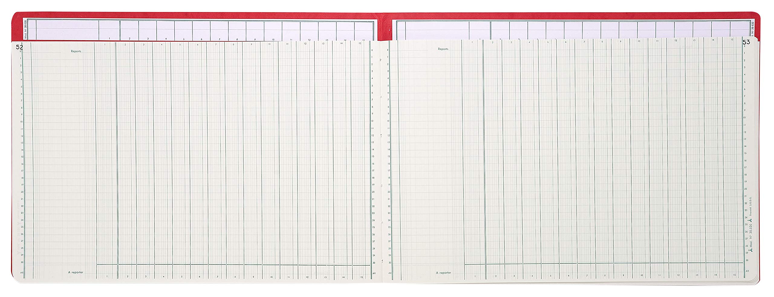 LE DAUPHIN Piqûre trace comptable folioté 27 x 37,5 cm 80 pages 15 colonnes avec tête paresseuse
