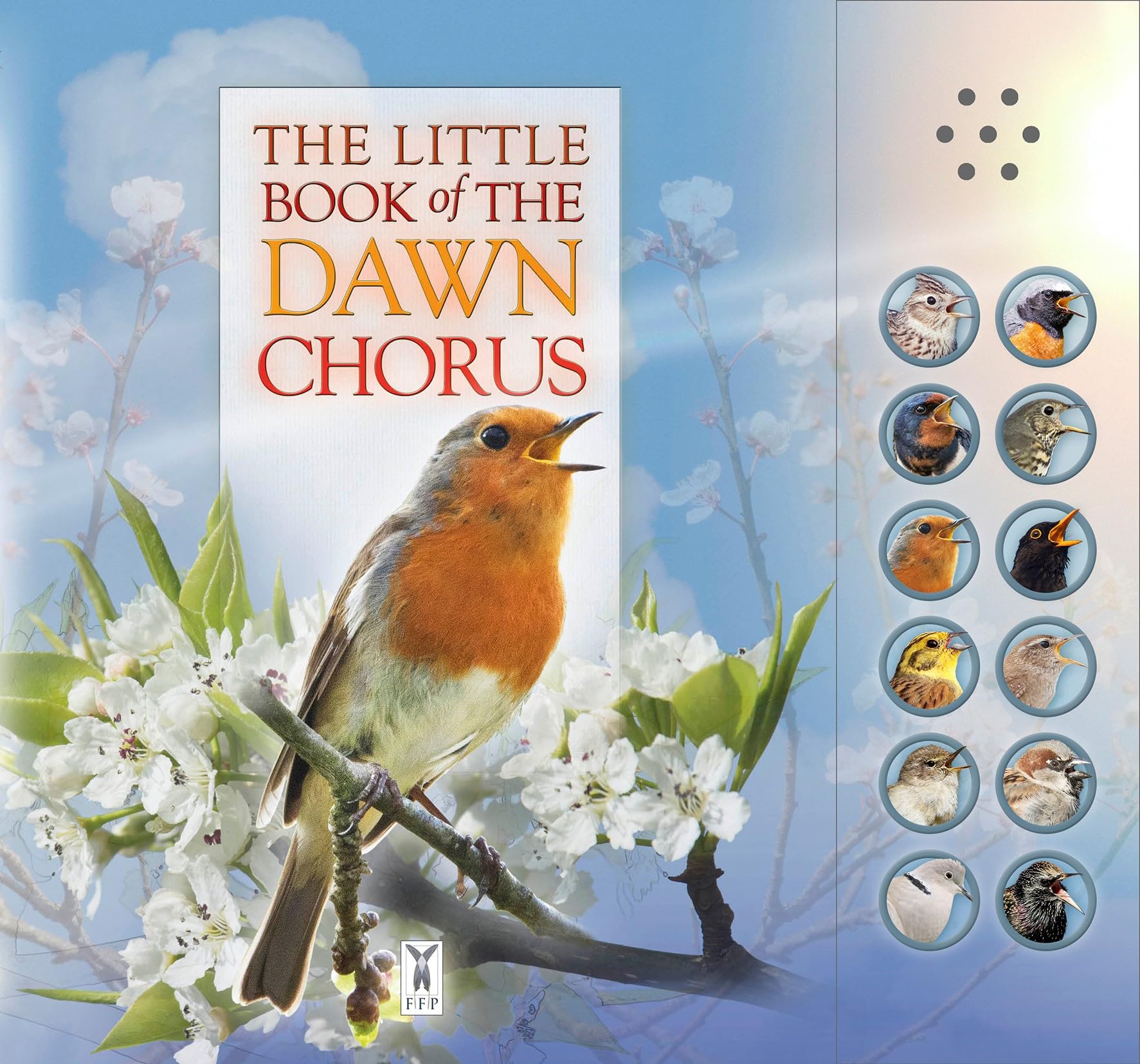 Andrea Pinnington The Little Book of the Dawn Chorus Board book