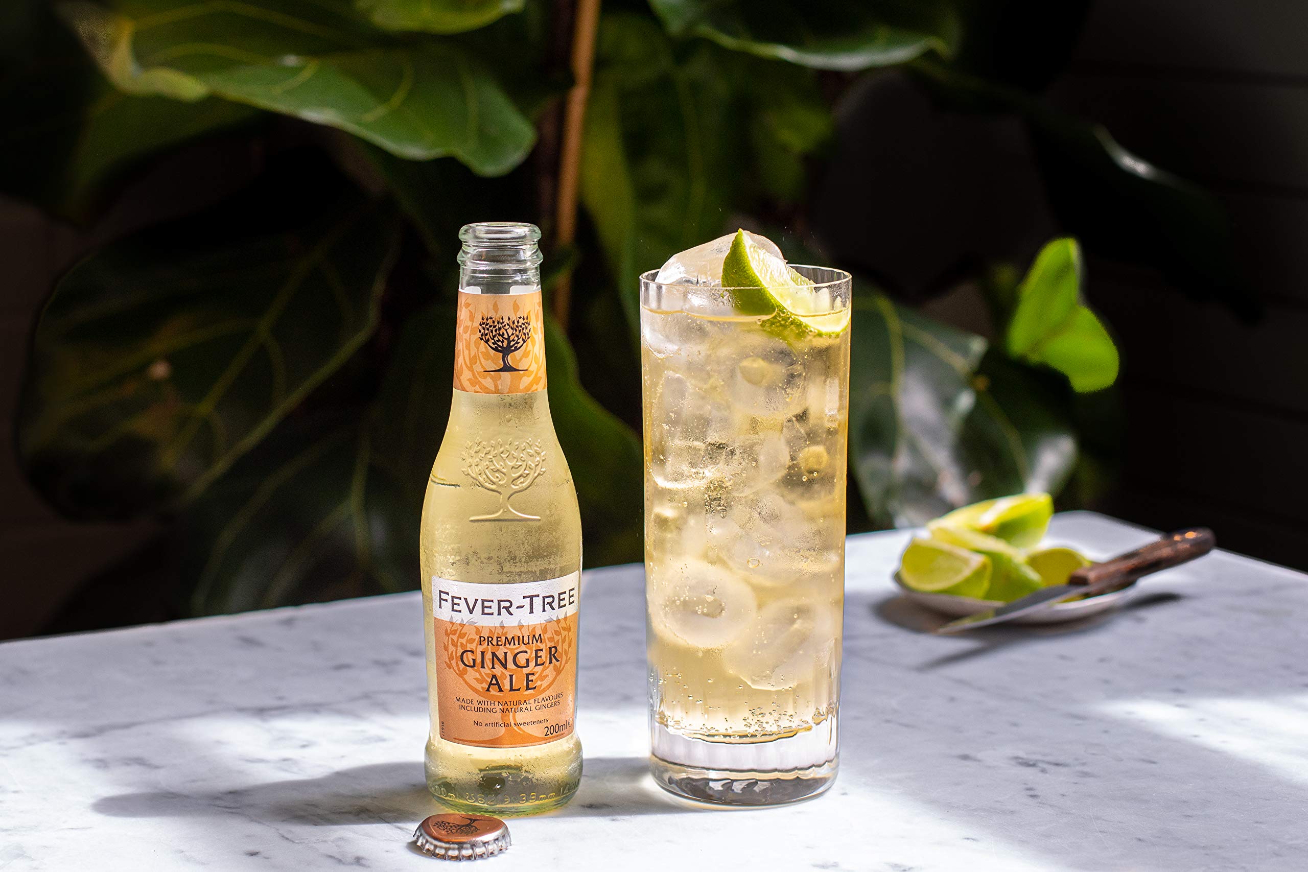 FeverTree Premium Ginger Ale, No Artificial Sweeteners, Flavorings or