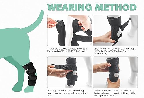 Miniatura 10 de Soporte de pierna de perro para articulación trasera de corvejón, envoltura de compresión de tobillo trasero con tiras de metal, fuerte soporte para