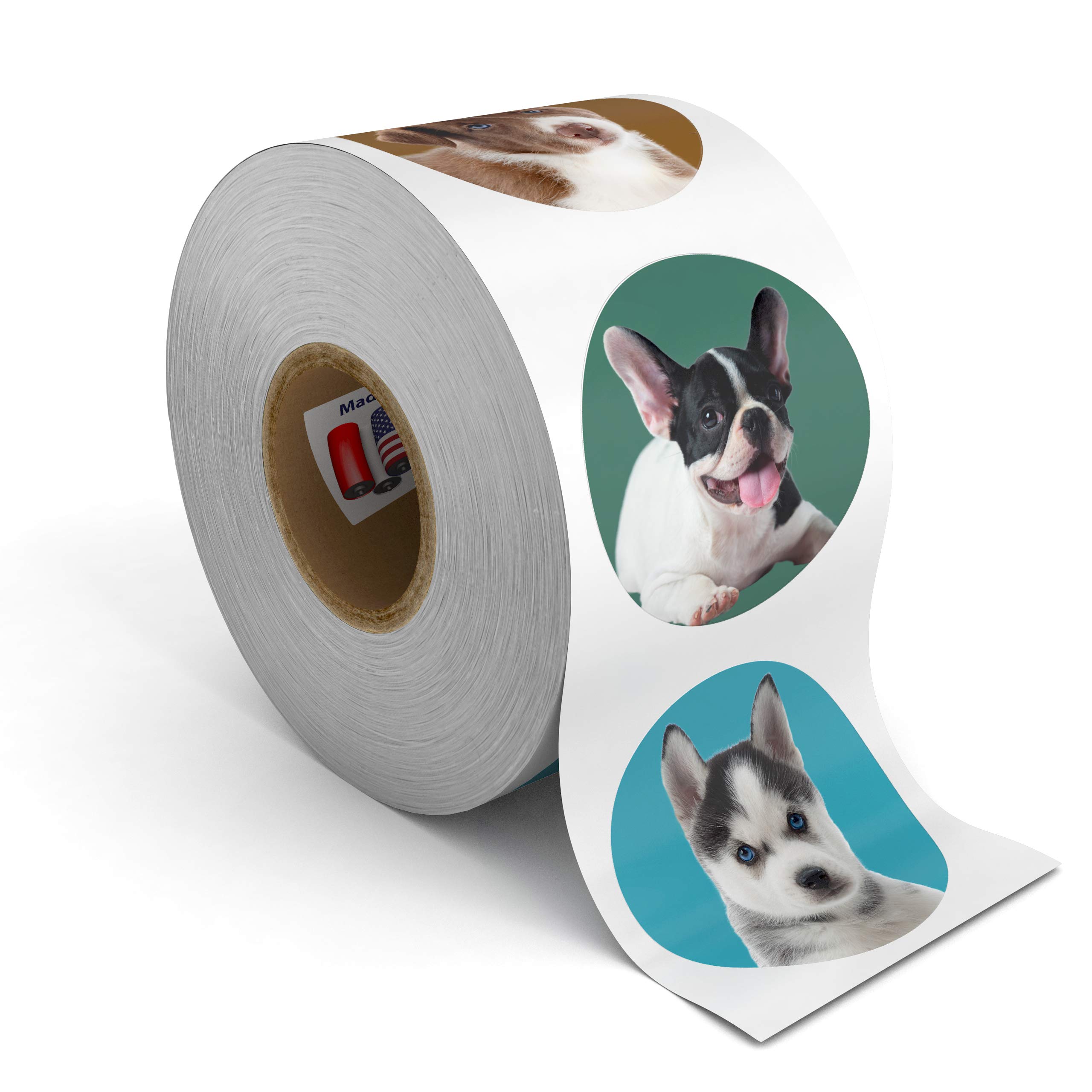 500 Awesome Stickers! Choose from Puppies, Kittens, Emoji, Smileys, Trucks, Dinos, Safari, Farm, Space, and More! 1.5" Circles, Motivational Rewards