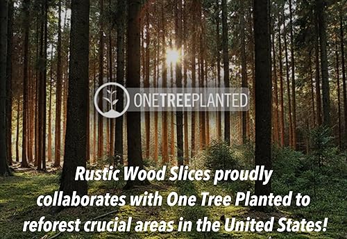 Miniatura 7 de Juego de 20 centros de mesa de madera de 9 a 10 pulgadas para mesas decoraciones rústicas de boda decoraciones de boda para mesas rebanadas de