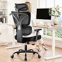 ALLGODOFFICECHAIR Ergonomic High Back Office Chair: Lumbar Support, Breathable Mesh, 3D Adjustable Armrests, Reclining Big & Tall Desk Chair (Black)