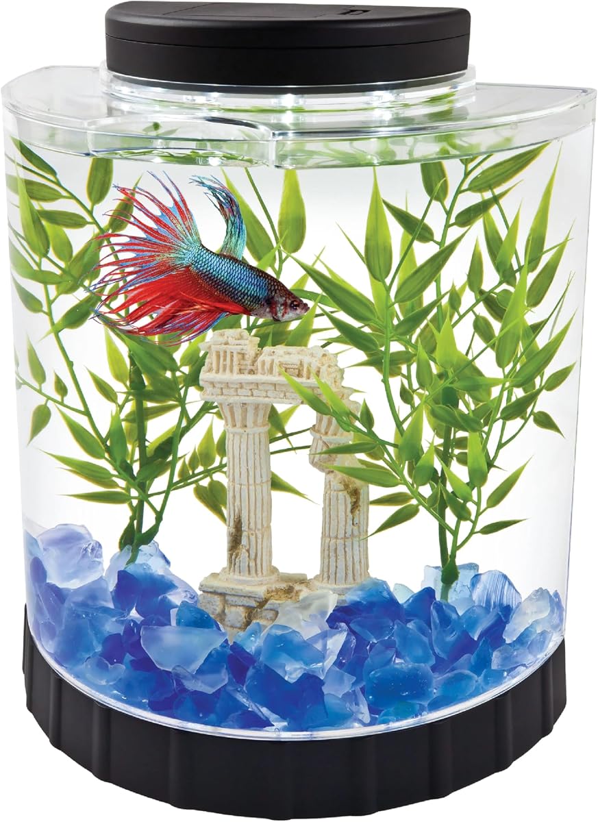 LED Half Moon 1.1 Gallon Fish Tank Kit for Betta Fish | Aquarium Kit Includes Moveable LED Light and 1.1 Gallon Acrylic Tank With Feeding Hole, Ideal for Beginners
