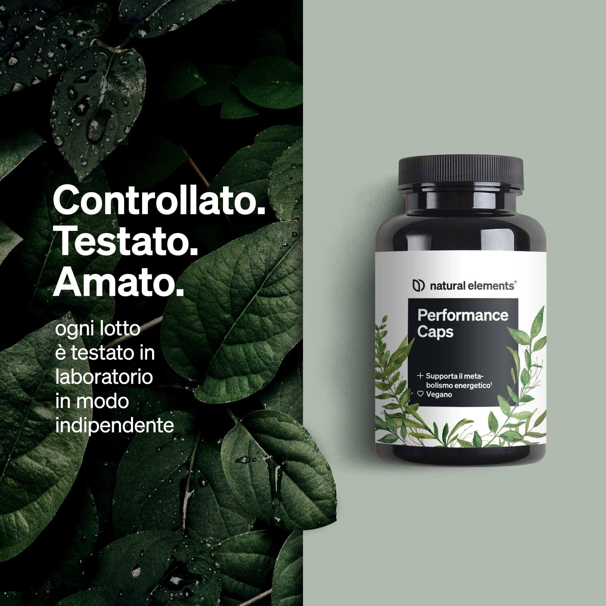 Performance Caps – 120 capsule di caffeina con tè verde, guarana e chicchi verdi di caffè – vitamine B – vegane, alto dosaggio, senza additivi – prodotto e testato in laboratorio in Germania