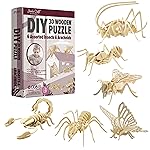 Hands Craft DIY 3D Wooden Puzzle - 6 Assorted Insects & Arachnids Bundle Pack Brain Teaser Puzzles Educational STEM Toy Adults and Kids to Build Safe and Non-Toxic Easy Punch Out Premium Wood JP2B9