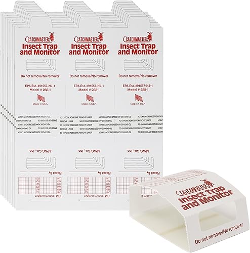 Trampas para araña (no tóxicas)