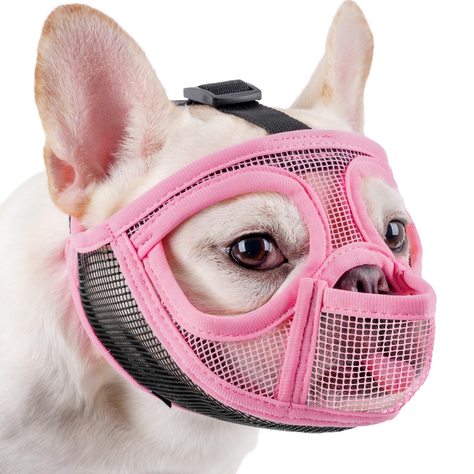Mayerzon Short Snout Muzzle XXS Pink