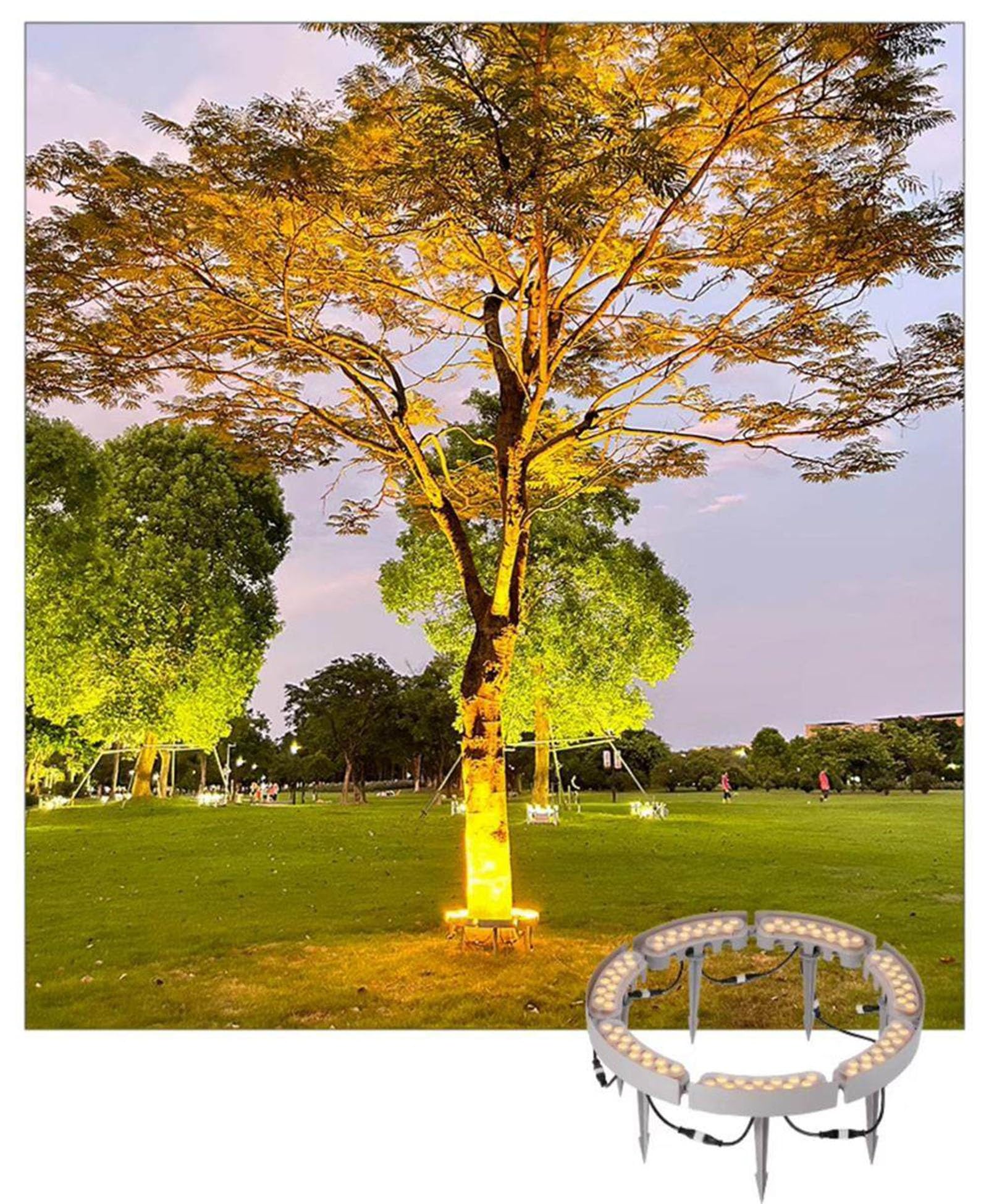 Luce per alberi ad anello per esterni, illuminazione paesaggistica a energia solare, per giardino con alberi(5 SETS)