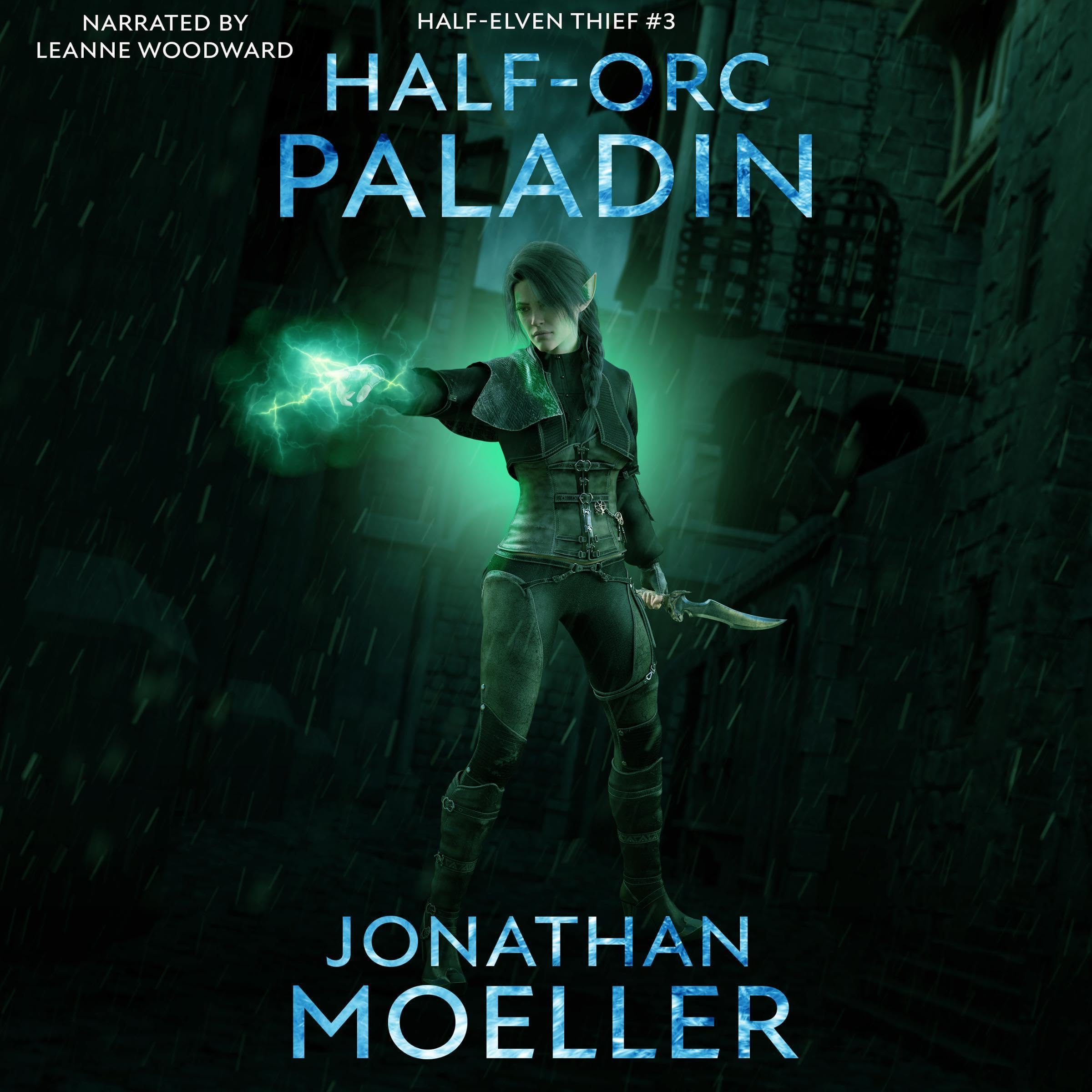 Cover art for Half-Orc Paladin