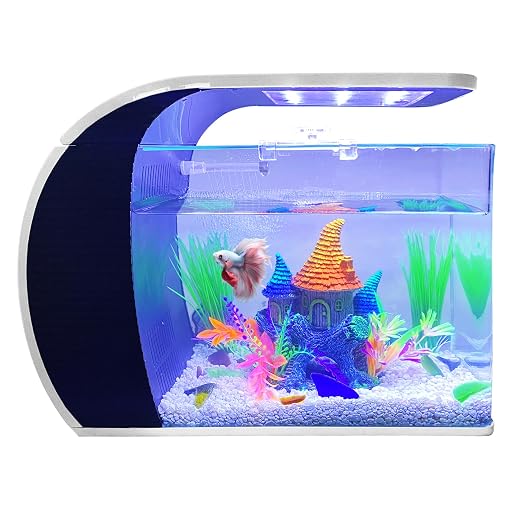 5 Gallon Fish Tank - Arc-Shaped Glass Fish Tank w/LED Lights - Fish Tank Kit w/Filter, Water Pump, Bag of Filter Media & More - Beautiful Aquarium Set for Office & Home - Easy Assembly Starter Kit