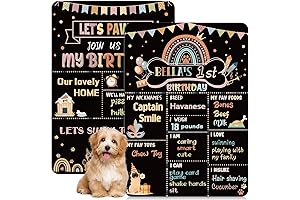 Charming Chalkboard Sign for Your Pup's First Birthday Celebration