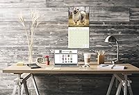 Vista 524 de Razas de Perros 2017