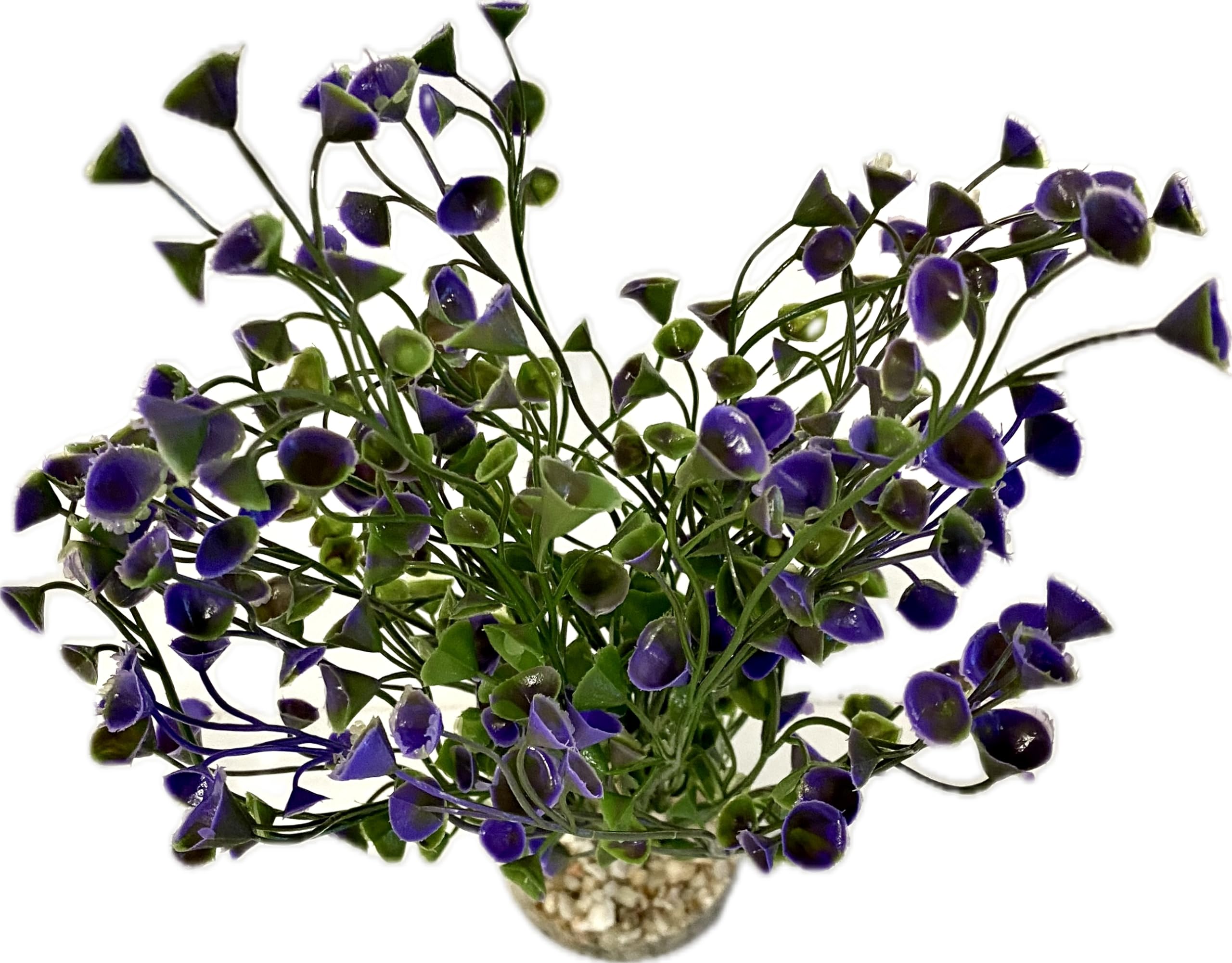 Tyrol - Plante d'Aquarium Artificielle XL 22CM - Décoration pour Aquarium - Plante en plastique sur Socle - Plante d'intérieur lentille eau - Ancrage Facile au fond de l'Aquarium - Fabriquée en France