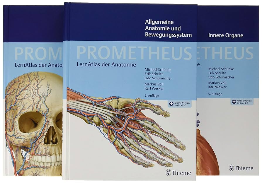PROMETHEUS LernPaket Anatomie: LernAtlas Anatomie : Schünke
