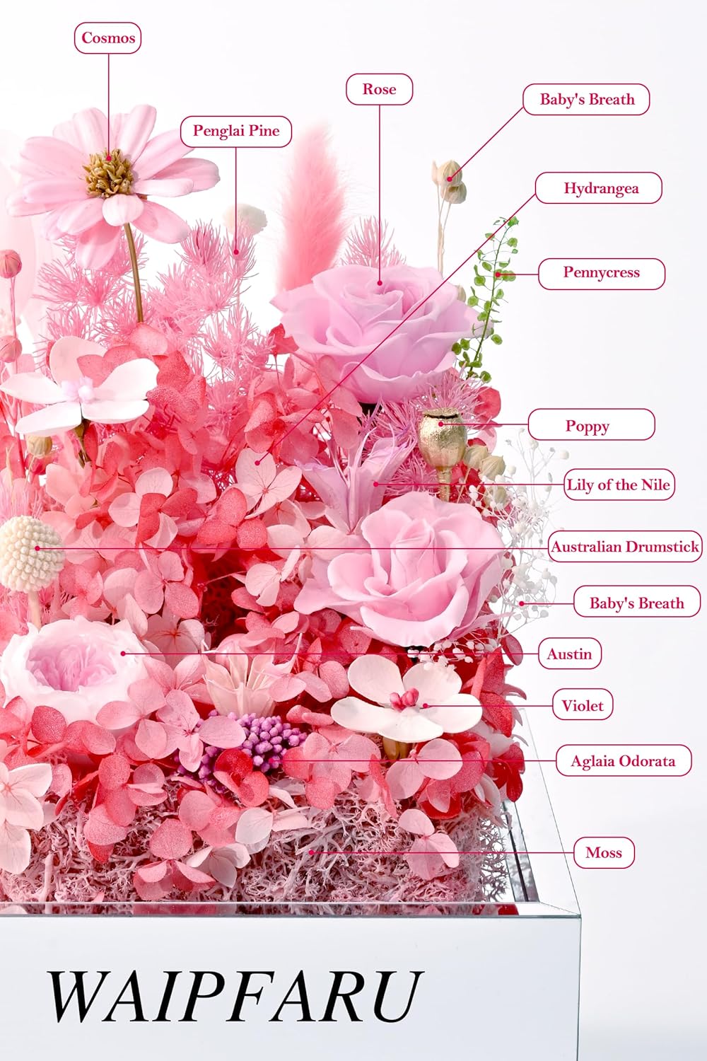 Waipfaru Valentines Day Gifts for Her, Preserved Roses in A Box, Fresh Flowers Prime, Forever Eternal Flowers in Acrylic Display Case, Galentines Day Gifts for Women Mom Grandma (Pink) - Image 2