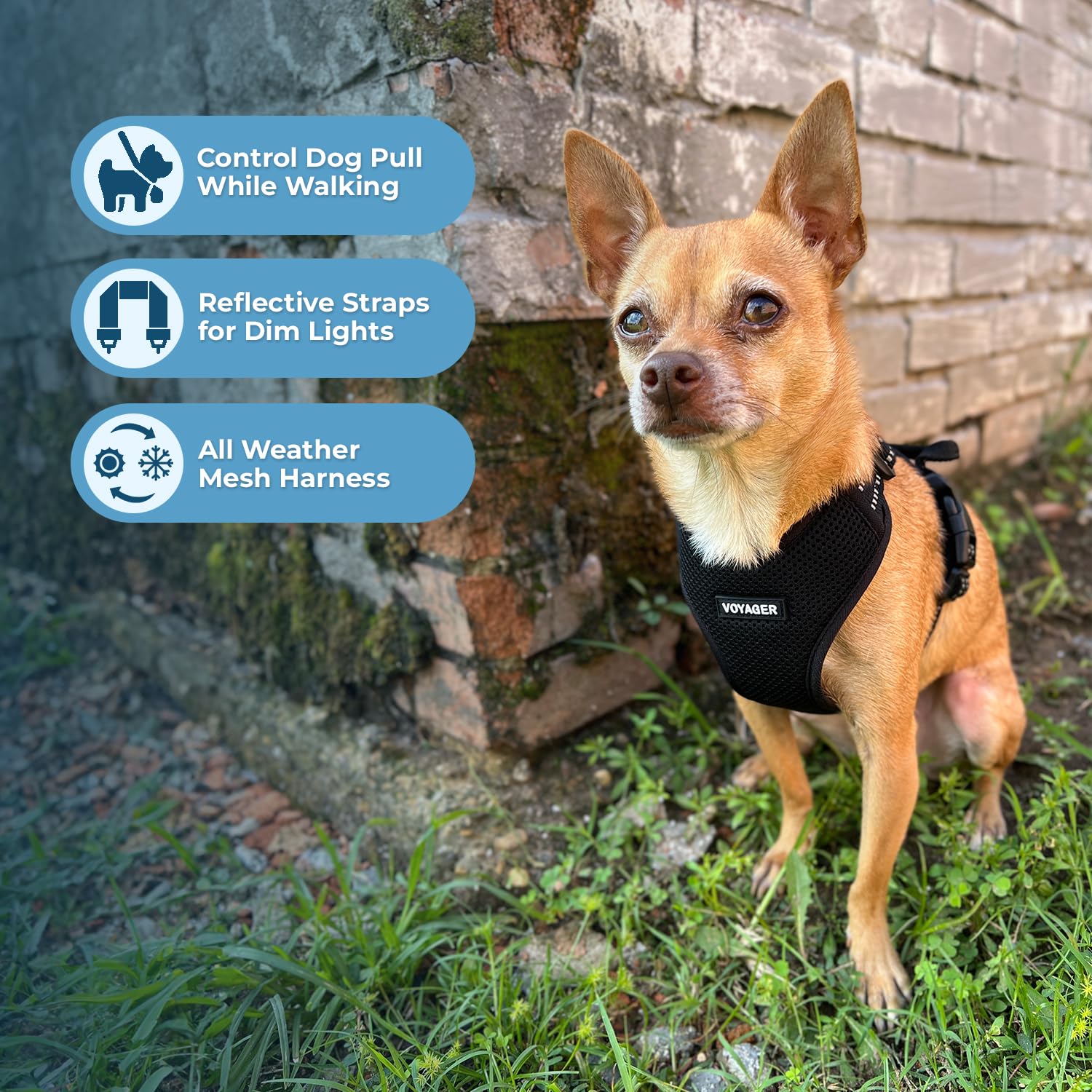 Air Frontier - Pettorina per cani in rete con anello a D e guinzaglio in acciaio, cuciture riflettenti e design leggero traspirante anti-tiro, cinghie regolabili per collo e petto per razze piccole e