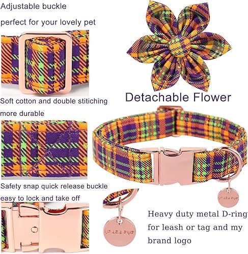 Miniatura 3 de Collar de perro de Halloween con flor, collar de perro a cuadros de Halloween para hembras pequeñas, collar de perro de otoño e invierno con hebilla