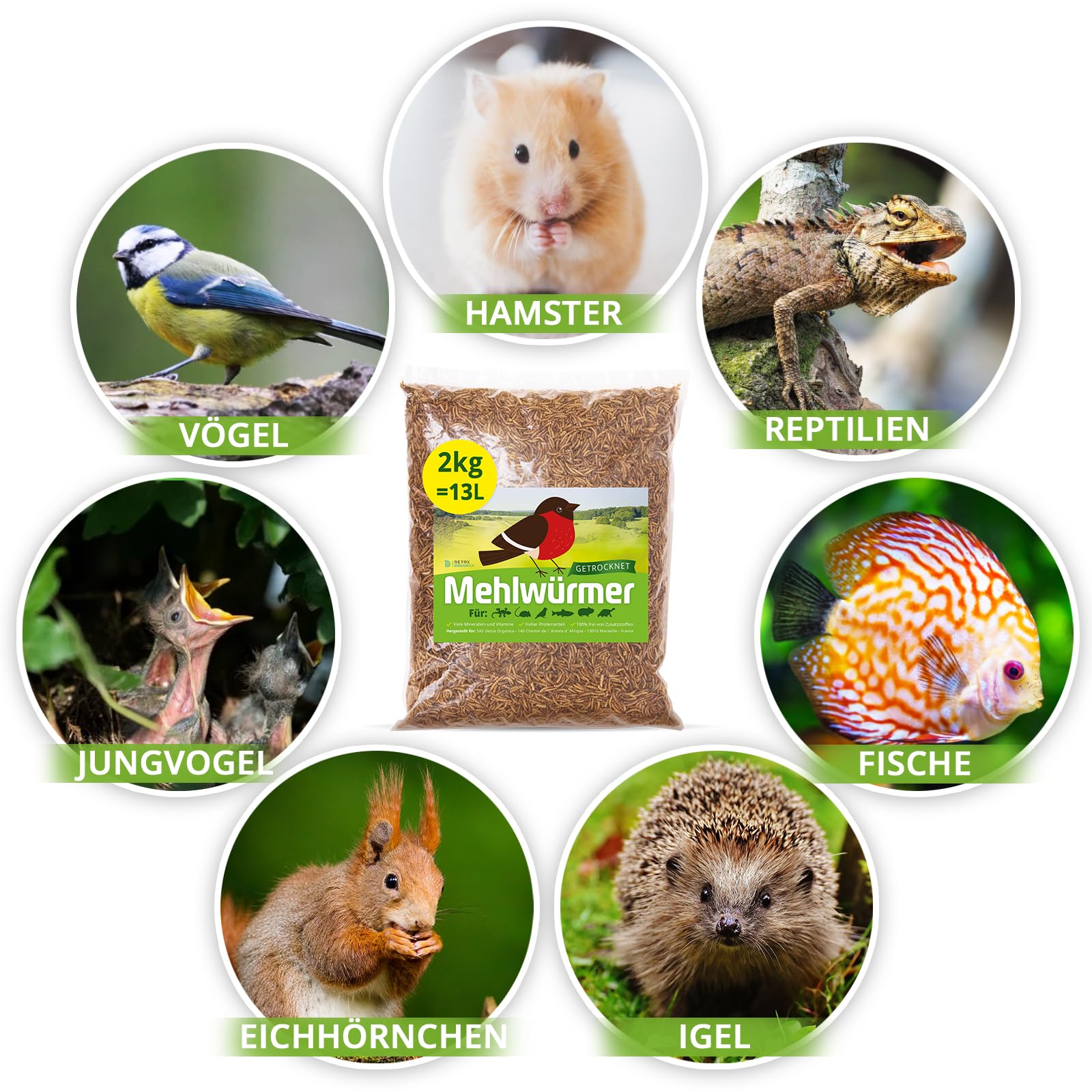 Detox Organica Mehlwürmer Getrocknet, 2Kg (13L) getrocknete Mehlwürmer mit sehr hohem Proteingehalt, Würmer für Reptilien, Vögel, Wildvögel, Igel, Fische, Schildkröten & Nager – Premium Qualität
