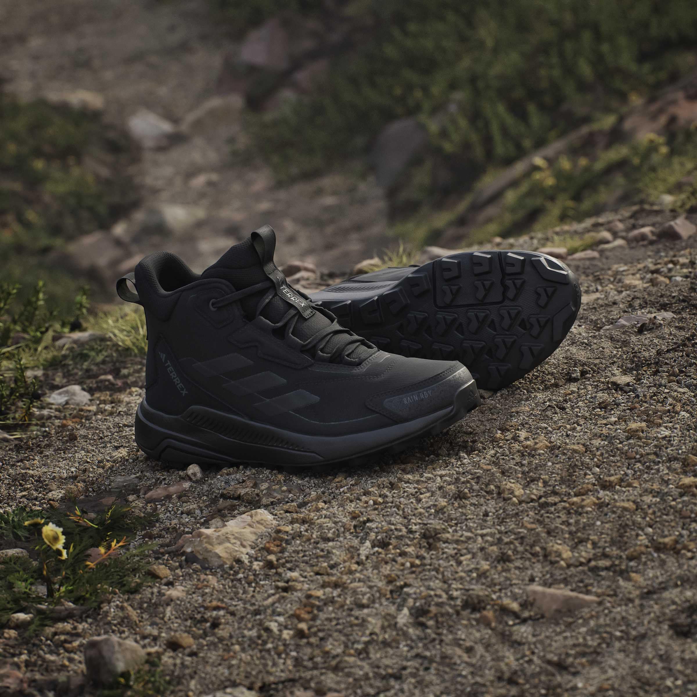 adidas Women Scarpe da Hiking Terrex Anylander Mid Rain.Rdy
