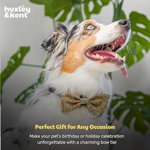 Miniatura 9 de Huxley & Kent Silly Squirrels - Collar de pajarita de otoño para perros y gatos, grande, cómodo y duradero