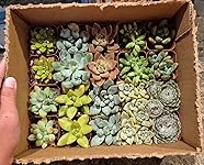 Review Image by Hk Hk