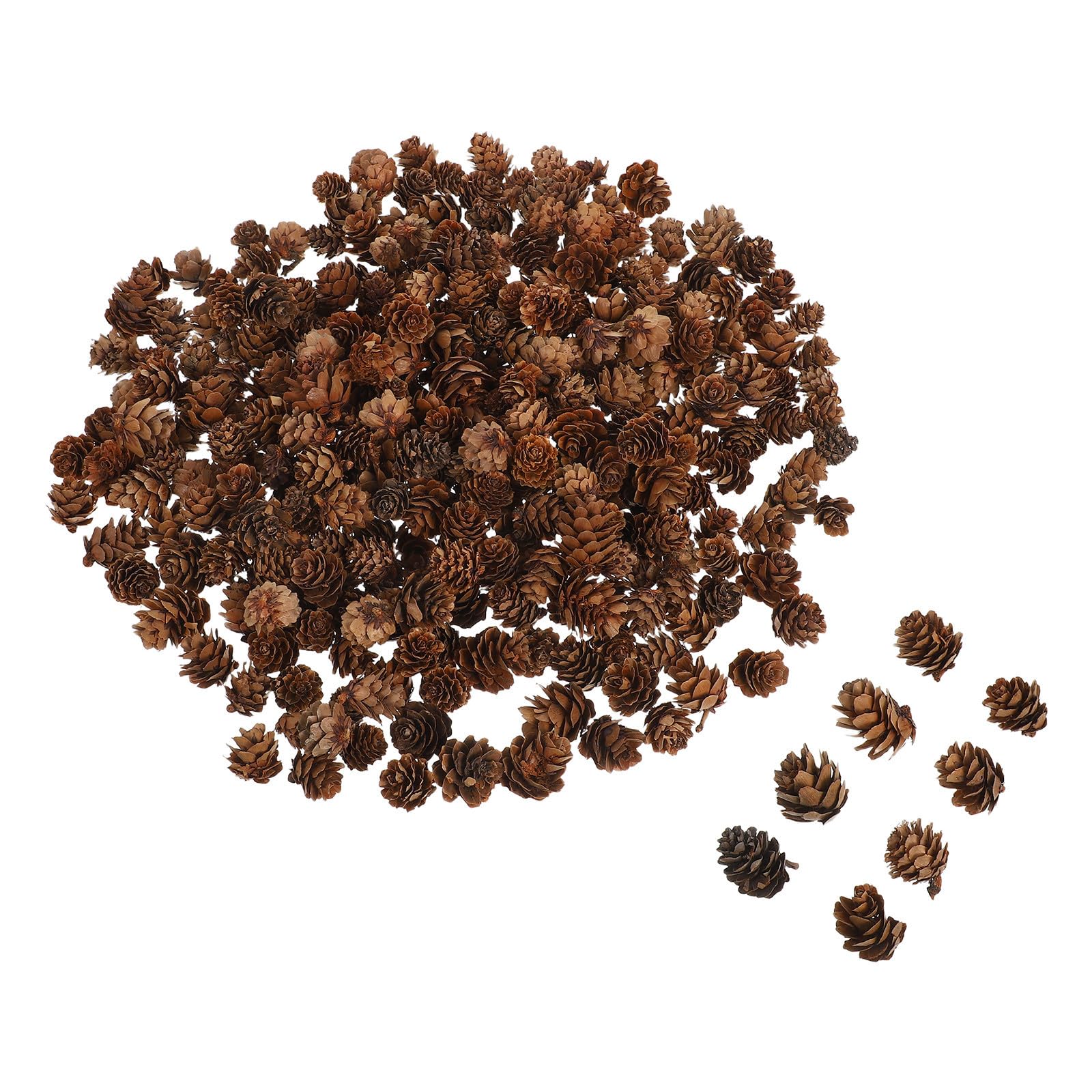 1 Scatola Pigne di Natale Naturali Mini per Decorazioni Festive Design Rustico in Pigne di Pino Riutilizzabili e Portatili per Decorazioni Natalizie e Casa