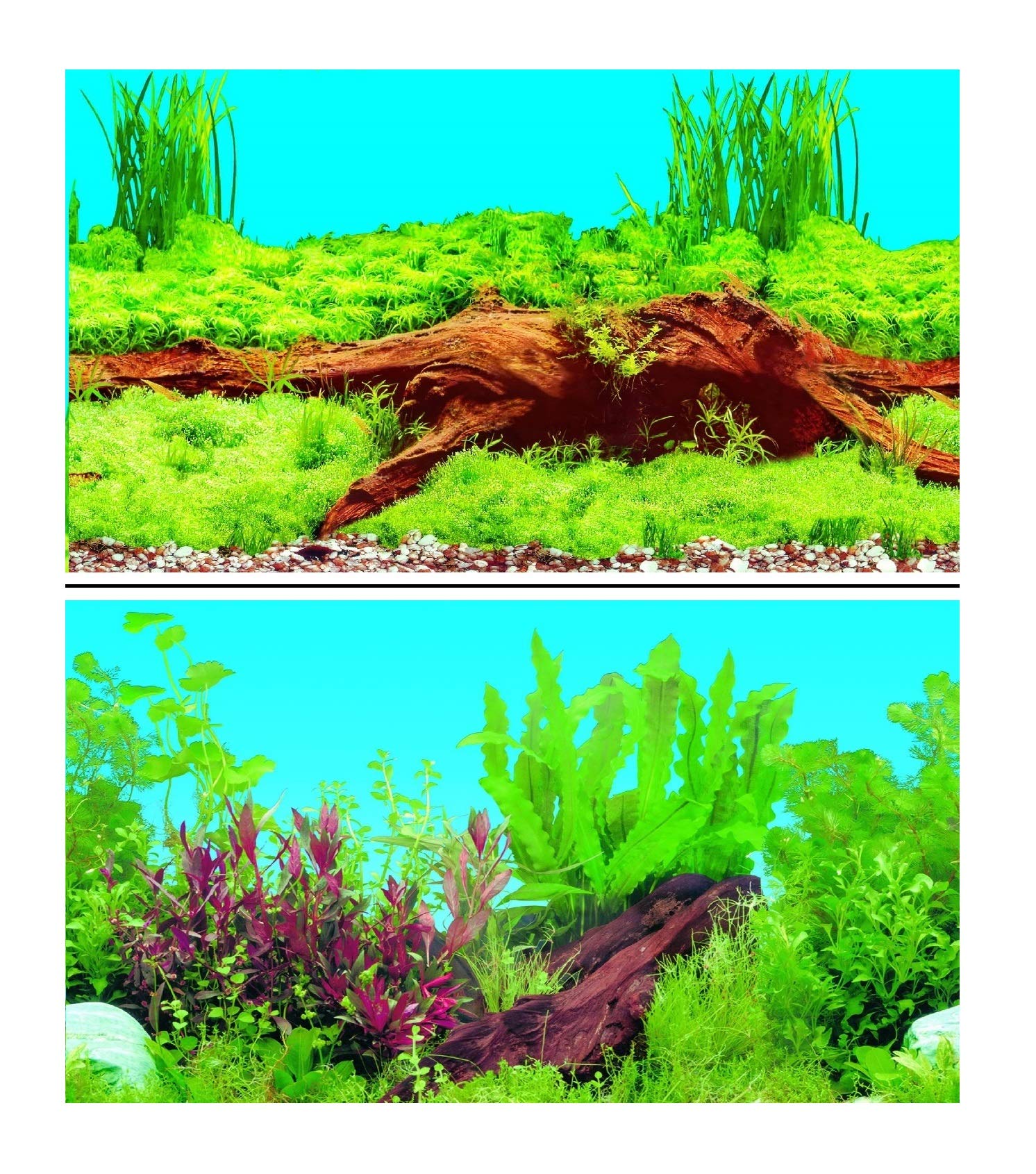 Hidom Aquarium Background Poster Double Sided - Height 24" / 60cm - Length 10 FT / 305cm - Two Scenic Pictures displaying Aquatic Backdrops - DS 600-9009/9021