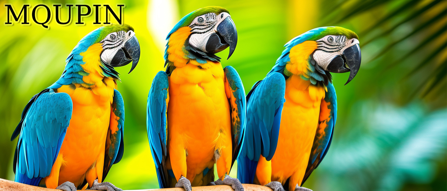 Hapihom Papageien-Spielzeug - Hängespielzeug Mit Holzblöcken & Maiskolben