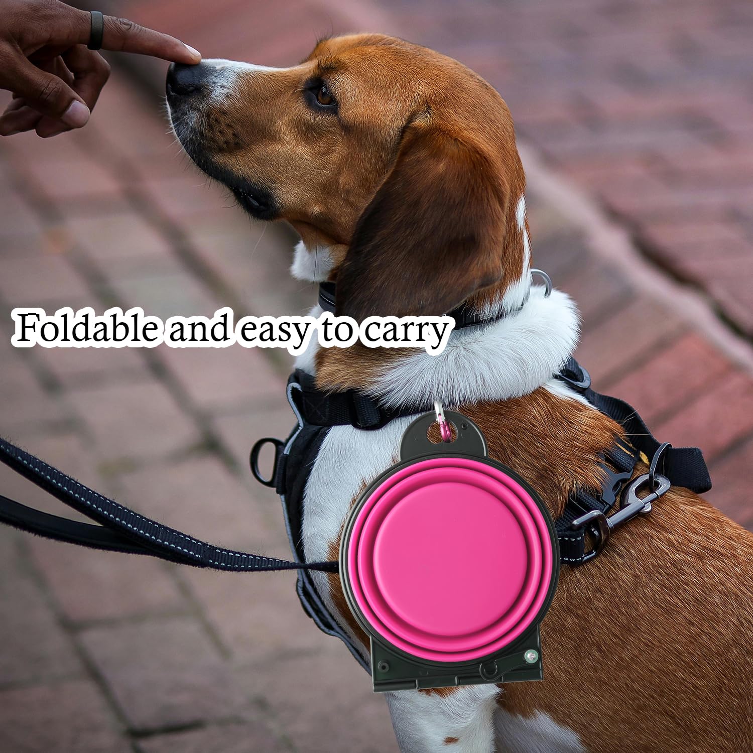 Bojueshaw Collapsible Dog Silicone Bowls,2-in-1 Portable Pet Travel Bowl with Carabiner for Puppy Hiking,Camping,and Outdoor Adventures(Pink) - Image 3